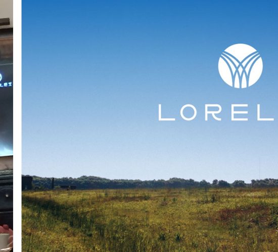 Lorelei